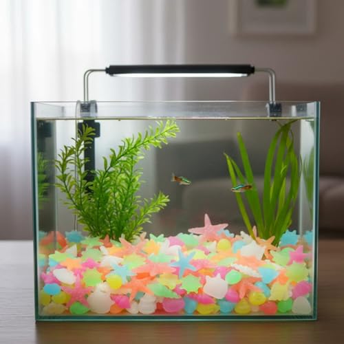 50PCS Luminous Stone, Glow in The Dark Conch Starfish,Glowing Rocks Fish Tank for Swimming Pool Aquarium Plant Pots Bonsai Walkway Driveway Garden Decoration