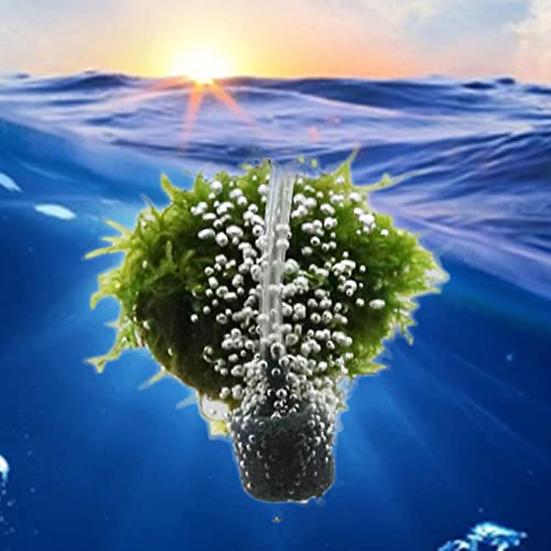 Air Stone Cylinder Bubble Diffuser Airstones for Aquarium 0.8/0.9inch Diffuser Release Tool for Nano Air Pumps Small Buckets and Fish Tanks - size: 10P