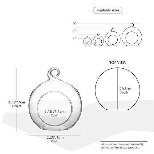 WGV Hanging Terrarium Globe, Width 2.25", Height 2.75", DIY Air Succulent Planter, Clear Glass Vase Orb with Flat Bottom, Candle Holder for Windowsill Outdoor Garden Decor, 6 Pieces Bulk - size: 2" Flat Bottom