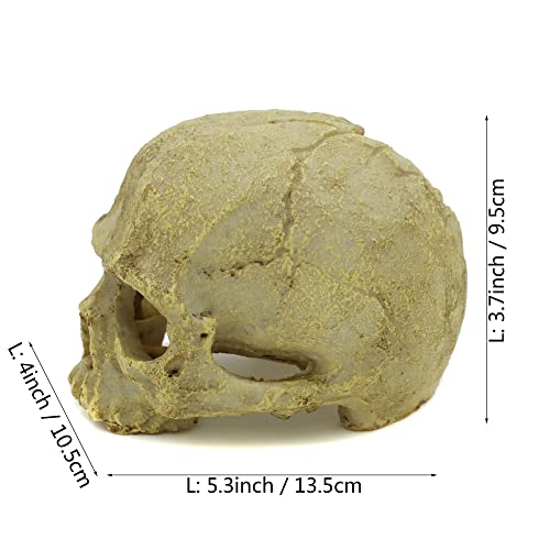 JIHAQUA Aquarium Resin Skull, Reptile Tank Accessories Ornament Basking Snake Hide Decor Habitat
