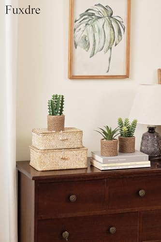 3-Pack Artificial Succulent Plants in Vintage Plastic Pots - Fake Waterproof Succulents Decor for Home, Office, Desk, Shelf - Low Maintenance Indoor Greenery for Bathroom, Living Room, Table Decor - color: Succulent-d-3pcs