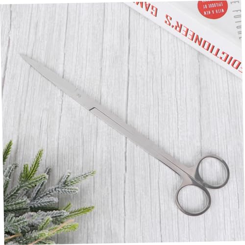 BESPORTBLE Mirror Cutting Scissors Stainless Steel Aquatic Plant Tongs Fish Tank Plant Scissors for Aquarium Maintenance