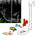 Shrimp Fish Feeding Dish, Aquarium -Sky Restaurant- Betta Feeding - Prevent Food Spilling, Fish Feeder, Also Easy to Clean Up The Food Left Over, African Feeding, Dwarf Frogs Feeding (L)