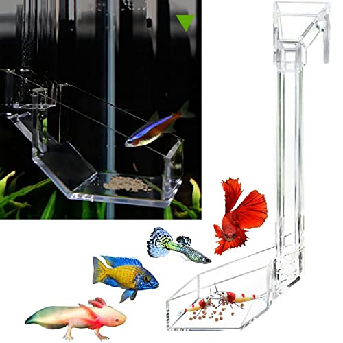 Shrimp Fish Feeding Dish, Aquarium -Sky Restaurant- Betta Feeding - Prevent Food Spilling, Fish Feeder, Also Easy to Clean Up The Food Left Over, African Feeding, Dwarf Frogs Feeding (L)