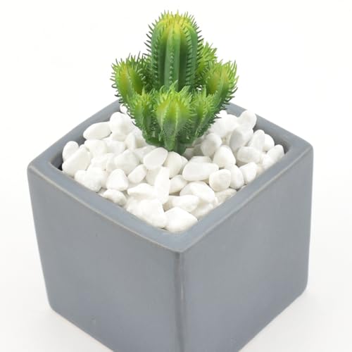 1 Lb/460g White Stones Decorative Pebble Rock Sand for Aquarium/Fish Turtle Tank/Vase Filler/Succulent Plants Decoration (Fill 1 Cup) - color: White, size: 1 Pound