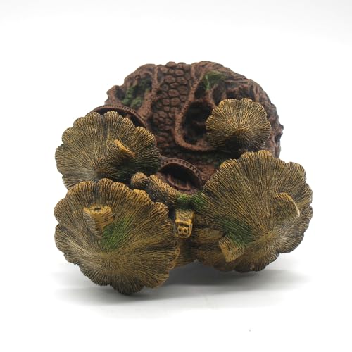 Fish Tank Decorations Hideaway Cave, Fish Tank House Accessories for Amphibians, Goldfish, Shrimp, Conch