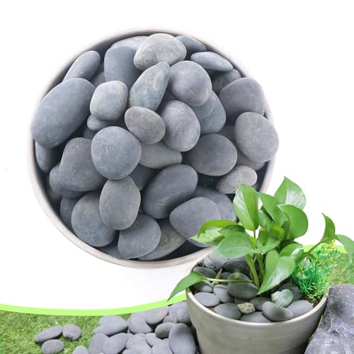 River Rocks Mexican Beach Pebbles (Large, 3LB) - size: 3LB, style: Large