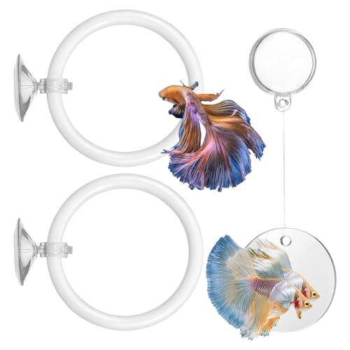 Molain Betta Fish Enrichment Toys, Betta Fish Tank Accessories 2 Training Rings 1 Mirror with Floating Ball Plastic Aquarium Enrichment Toys Set for Fishes Exercise Mental Stimulation