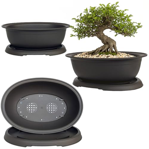 MUZHI 3 Pack Mixed Size Oval Bonsai Planter Pot with Drainage Tray, Matte Finish Ellipse Plastic Bonsai Succulent Growing Pot for Home Garden Plant Container 9.1” 7.2” 5.2” - size: 5.2" / 7.2" / 9.1" Mixed