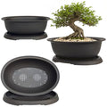 MUZHI 3 Pack Mixed Size Oval Bonsai Planter Pot with Drainage Tray, Matte Finish Ellipse Plastic Bonsai Succulent Growing Pot for Home Garden Plant Container 9.1” 7.2” 5.2” - size: 5.2" / 7.2" / 9.1" Mixed