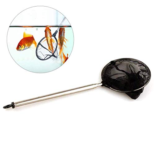 3 Inch Small Aquarium Fish Net with extendable Long Handle for Betta Fish Tank Round - size: Round