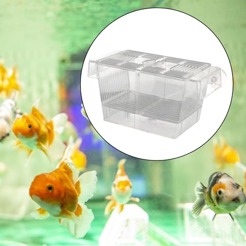 Fish Breeding Isolated Box Float Hatching Separation Acrylic Hatching Box Fish Tank Hatchery for Clownfish Guppy, L - size: L