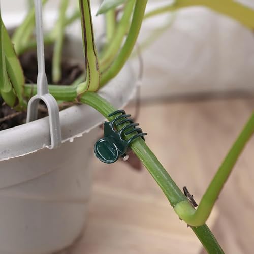 AccEncyc 100 Pcs Plant Clips Orchid Clips Plants Orchid Support Clips Flower Vine Clips for Supporting Stems Vines Stalks Climbing Plant Grow Upright - size: 100Pcs Classic