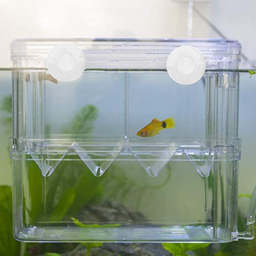 Senzeal Aquarium Fish Breeder Box Plastic Fish Isolation Breeding Box Hatching Incubator for Baby Shrimp Clownfish Guppy - size: Large
