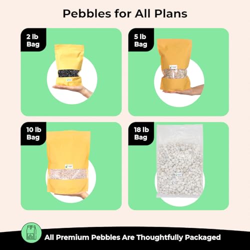 Rocks for Plants. Green Jade Decorative Polished Pebbles. 1/5 Inch – 2 lbs for Garden, Vase fillers, Crafting, Succulents, pots, Plants (Mini (0.2 Inch), Green Jade - Polished, 2) - color: GREEN JADE - POLISHED, size: Mini (0.2 Inch)
