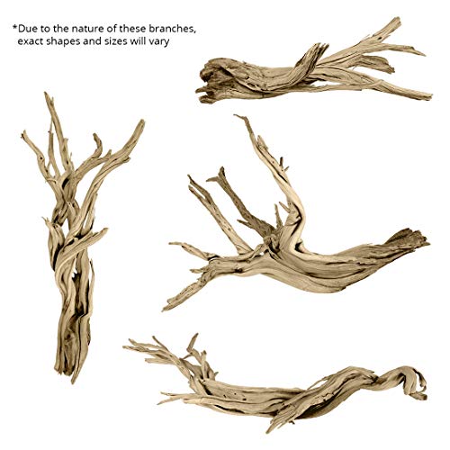 Koyal Wholesale 12” Driftwood Terrarium Decor, Clean California Manzanita Drift Wood Reptile Decor, Driftwood Decor for Home, Desert Reptile Supplies
