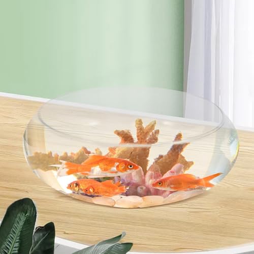 DOITOOL Clear Glass Fish Bowl 9.84 Inch Desktop Aquarium Small Fish Tank Planter for Goldfish Hydroponic Plants Home Office Wedding Decor - size: 25.00X25.00X10.00CM