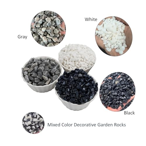 1LB Natural Gravel Pebbles, Cactus and Succulent Plants Pebbles, Small Decorative Polished Stones, Mixed Color River Rocks for Potted Plants, Vases, Aquariums, Terrarium and Outdoor Gardening - color: 1LB Mixed Color
