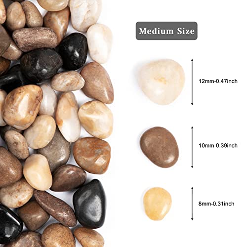 5lbs Natural River Rocks, Polished Pebbles for Plants Garden, 0.3-0.8 inch Decorative Peach Stones, Ideal for Fish Tank, Vases, Crafting, Home Decor and Garden Landscaping Rocks,Mix - size: 5 Pounds, style: Mixed