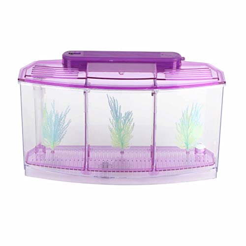 2 Betta Fish Tank With Divider, Aquarium Fish LED Acrylic Three Divisions Breeding Isolation Box for Small Fishes Aquarium Fish () - color: Purple