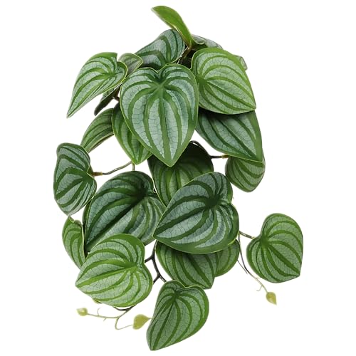 Reptile Plants for Terrarium, Amphibian Habitat Decor Artificial Hanging Plants with Suction Cup - Fake Calathea Orbifolia