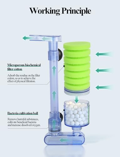 UPETTOOLS 10-40 Gla Aquarium Sponge Filter Ultra Quiet Aquarium Air Pump Bio Sponge Small Fish Tank Foam Filter Comes with 2 Sponges 2of Bio Ceramic Media Balls