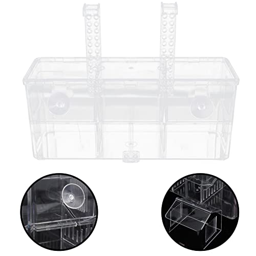 POPETPOP Fish Breeding Isolation Box Aquarium Incubator for Fry Prevents Easy Installation Cups Secure Nursery for Fish for Betta and Guppy Breeding