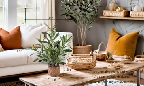 Indoor Fake Olive Plant 12 inch Faux Silk Leaves with Black Rustic Planter Medium Size Perfect Artificial Olive Fruits with Realistic Trunk and Lifelike Stems for Home and Office Decor - color: Plant a