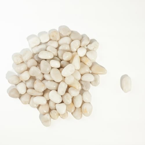 36 LBS River Rocks, StoneCreek, Decorative Garden Stones for Plant Landscaping, Polished Gravel Filler Pebbles for Home Decoration, Vases, Succulents, Flower Beds and Fish Tanks (White, Medium) - color: White, size: 36 LBS