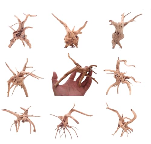 8pcs Natural Small Spiderwood Driftwood for Aquarium Decor Aquarium Driftwood Freshwater Reptile Driftwood Aquarium spiderwood (spiderwood 5-6inch 8pcs)