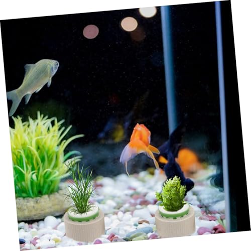 9pcs Floating Rings for Easy Planting Freshwater Tanks Durable User Friendly Decoration Accessories for Fish Tank Landscape