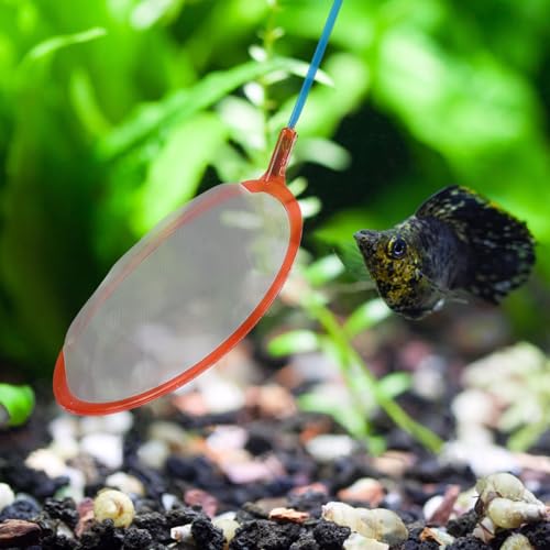 Alipis 10pcs Small Fine Mesh Fishing Landing Nets Multipurpose Fish Tank Catching Nets for Aquarium Shrimp Goldfish Outdoor Use Random Color