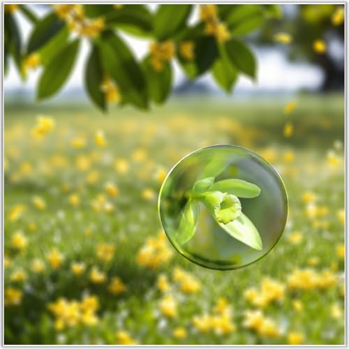Bluwtoclan Crystal Magnifying Paperweight,3.1 inch Clear Dome Paper Weight for Outdoor Events,Physics Classroom,Home Décor - size: 3.1 Inch-1Pcs
