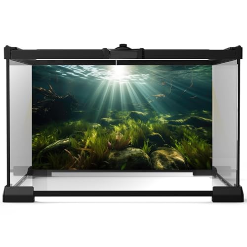 Ocean Floor Fish Tank Background Underwater Stone Aquarium Background Seaweed Branches Sunlight Fish Tank Backdrop Decoration Mysterious Aquarium Backdrop Durable Vinyl 24x12in - color: Turquoise, size: 24(W)x12(H)inches/ 60(W)*30cm(H)