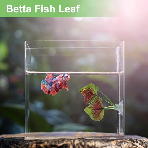 Betta Fish Leaf, Natural Habitat Simulation for Betta Spawnings Grounds, Betta Spawnings Leaves, Resting Bed, Large Small Leaves, Deep Green Brown