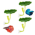 QfwdfcTrenz 3 Pcs Betta Fish Leaf Pad Simulating The Natural Habitat Green Hammock for Fish Spawning Grounds Leaves Improves Betta's Health Comfortable Resting Bed
