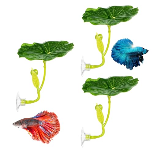 QfwdfcTrenz 3 Pcs Betta Fish Leaf Pad Simulating The Natural Habitat Green Hammock for Fish Spawning Grounds Leaves Improves Betta's Health Comfortable Resting Bed