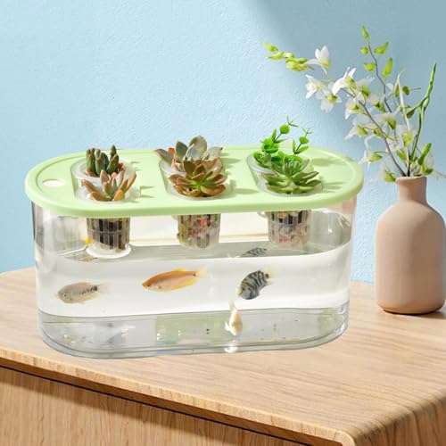 Hydroponic, Hydroponic System, Planting Container, 6 Holes, Indoor Tabletop Mini Aquarium for Plants and Fish, Green - color: Green