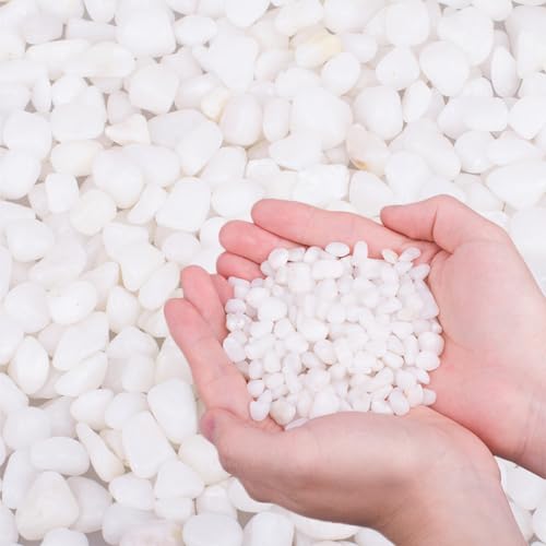 2.0 LB White Aquarium Gravel Pebbles 3/8", Natural Decorative Aquarium Substrate Small River Rocks, Mini Pebbles Stone for Fish Tank, Aquatic Plant Bonsai, Hydrophyte - size: 2.0 Lb