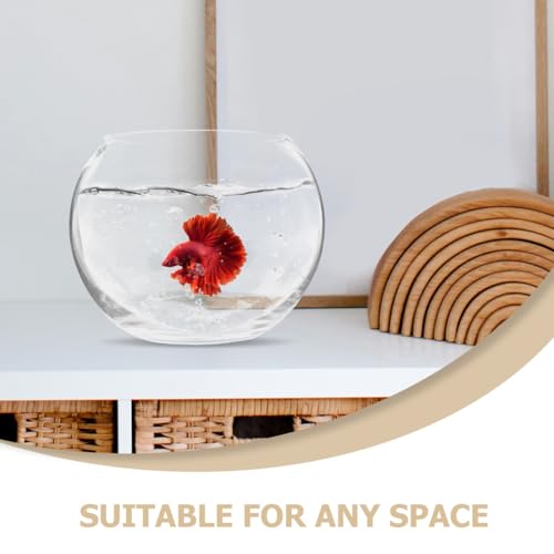 Baluue Round Glass Fish Bowl 5.90In Clear Bubble Vase Terrarium Planter for Hydroponic Plants Flower Display Home Office Decor Compact Size - size: 15.00X15.00X10.00CM