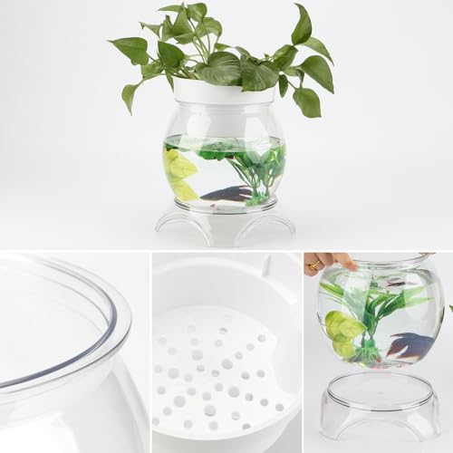 1 Gallon PET Aquaponic Fish Tank, Fish Bowl Aquaponic Betta Fish Tank Clear Aquarium for Betta Fish Reptiles Succulents Flower Vase Betta Fish Centerpiece Present for Home Office Desktop Decors - size: 1 Gallon