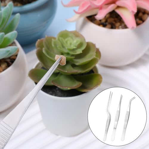 Garden Tweezers, 3 Pcs Stainless Steel Plant Tweezer Set Straight and Curved Precision Tweezers Multipurpose Bonsai Tools for Garden, Kitchen, Indoors and Outdoors (6.22Inch / 6.33Inch / 6.4Inch)