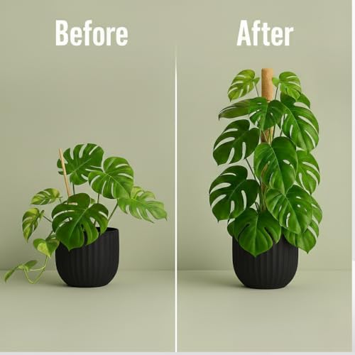 2 Pack 28" Bendable Moss Pole Monstera Plant Support | Monstera Moss Pole for Plants Indoor for Climbing Indoor Potted Plants | Stackable Plant Stakes for Pothos, Philodendron, & Eco Friendly