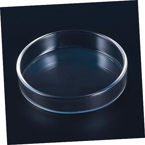 BESPORTBLE 1pc Glass Shrimp Feeding Bowl Round Dish for Fish Tank Glass Feeder for Shrimp and Reptiles Elegant and Aquarium Supply