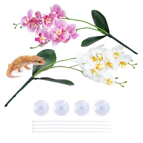 2 Pcs Artificial Phalaenopsis Orchid with Suction Cups - Pink & Red Reptile Terrarium Plant Decor, Lifelike Plastic Hanging Vine for Aquarium Snake Gecko Hermit Crab Habitat Decoration