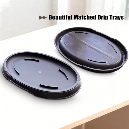MUZHI 3 Pack Oval Bonsai Training Pot with Drainage Tray, Matte Finish Succulent Growing Pot for Home Garden Plant Outdoor Indoor Container (7.2" Medium) - size: 7.2" Medium