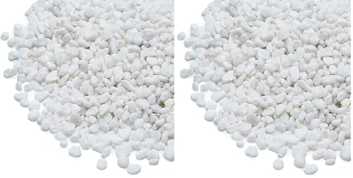Mr. Fireglass 10 lbs White Pebbles,1/5" Natural Decorative River Rocks Aquarium Gravel for Indoor Plants, Vases, Succulents and Outdoor Garden Landscaping (Pack of 2) - color: White, size: 10 Pounds (Pack of 2)