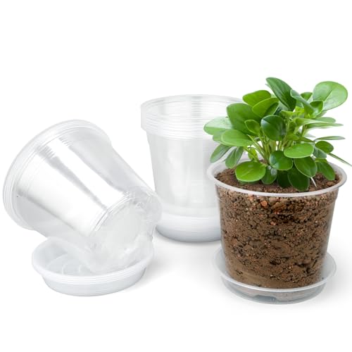 5 Inch Clear Nursery Pots with Drainage Trays, 15 Pack Plastic Pots for Plants, Clear Pot for Seed Starting, Transplanting, Succulents, and Indoor Gardening (5 inch) - size: 5 inch