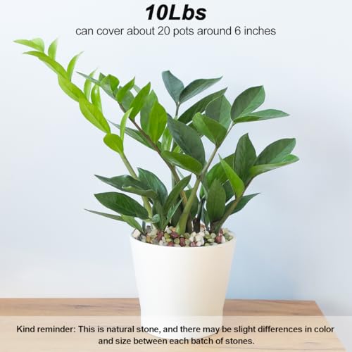 Decorative Ornamental Pebbles,Landscaping Pebbles,River Rocks,Garden Landscaping Stones,Gravel Filler for Home Decoration Flower Bed Fish Tank Plants Vases Succulents (1, Green, 10 Pounds) - color: Green, size: 10 Pounds