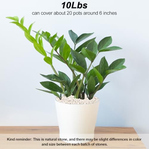 Landscaping Pebbles,River Rocks,Decorative Ornamental Pebbles,Garden Landscaping Stones,Gravel Filler for Home Decoration Flower Bed Fish Tank Plants Vases Succulents (1, White, 10 Pounds) - color: White, size: 10 Pounds